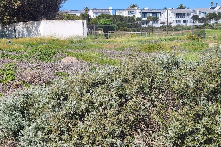 0 Bedroom Property for Sale in Shelley Point Western Cape